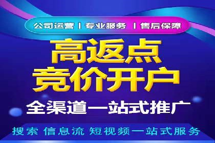 SEM竞价实战技巧，案例讲解与应用